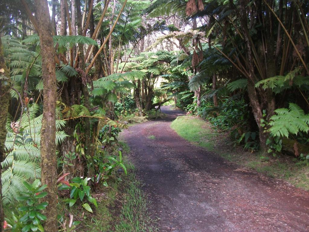Aloha Crater Lodge Volcano Exterior foto